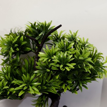 Bonsai in the pot "Dracain miniature" 12x28 cm-1