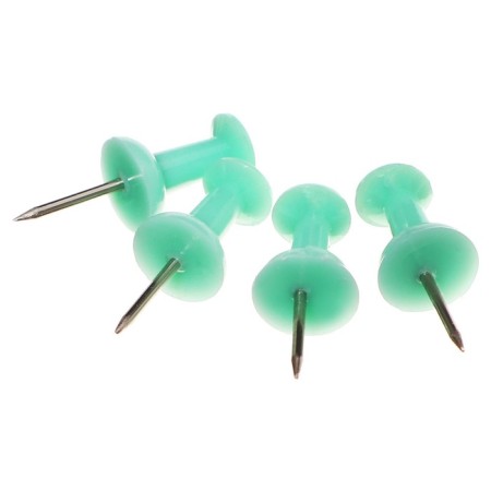 Power buttons Erichkrause "Pastel Bloom", 50 pieces, mint, in PET box-1