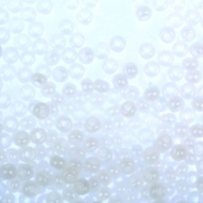 Бисер Чехия "GAMMA" круглый "2"  10/0   5гр  (В089 белый)