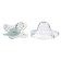 Nipple set - a dummy with a holder, SL, ORTD +12 months, with a cap "Bunny", green