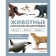 Animals. Visual encyclopedia. Tony Hea