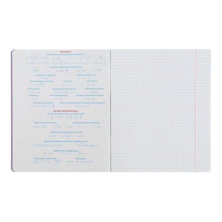 Subject notebook monocolor.element, 48 sheets in the “Physics” cage, covered cardboard, lamination of software touch, selective varnish, offset block 70 g/m2-2