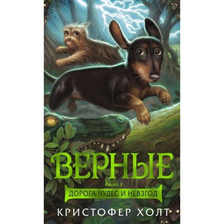Faithful. Book 3. The road of miracles and hardships. Holt K.
