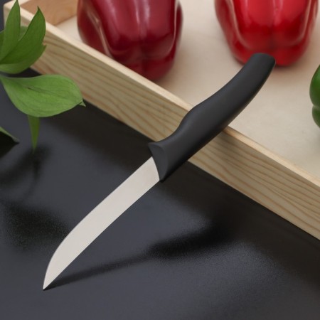 Knot Kitchen shade "Grime", blade 11.5 cm, black color-1