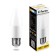 LED lamp (13W) 230V E27 2700K C37, LB-970
