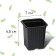Pot for seedlings, 210 ml, d = 7 cm, h = 6.5 cm, black, in the set 5 pcs., Greengo