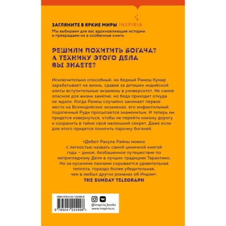 Украсть богача. Райна Р.-1