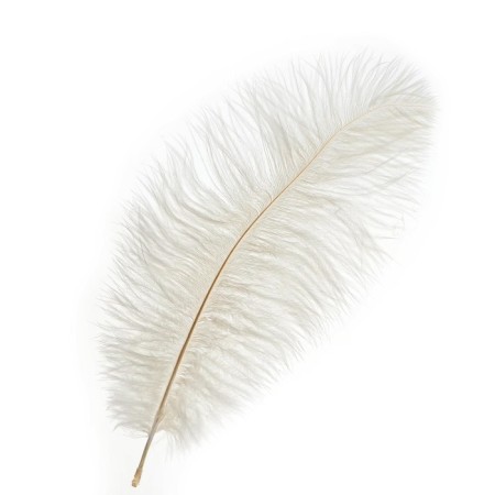 Feather for decor, size: 30-35 cm, white color-6