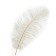Feather for decor, size: 30-35 cm, white color
