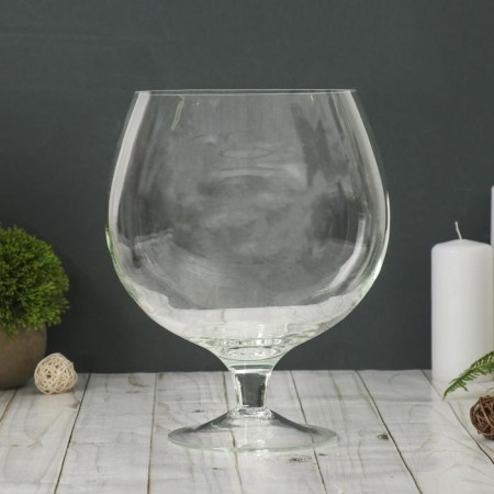 Vase "Brandy" glass on the leg D-14CM, 19X24CM, 3L 2080 Transparent