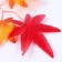 Decor "Autumn twig with leaves" set of 15 pcs., Size 1 pc. - 13.5 × 13 × 0.2 cm