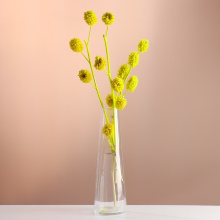 Set of dried flowers "licorice", ban 3 pcs, length 50 (+/- 6 cm), bright yellow-4