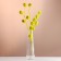 Set of dried flowers "licorice", ban 3 pcs, length 50 (+/- 6 cm), bright yellow