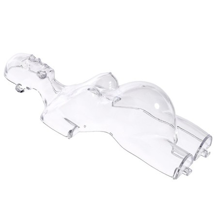 Set for experiments "Body structure", pregnant woman-9