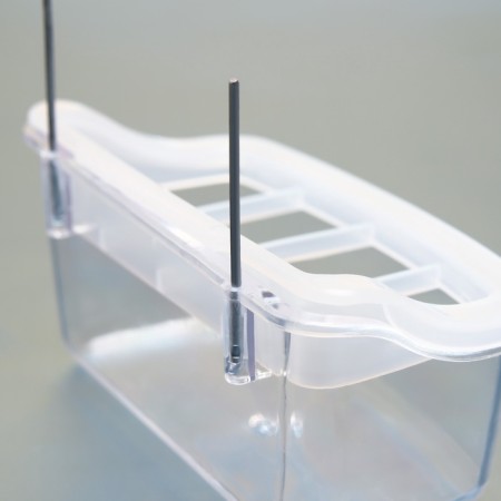 Bird feeder is the internal transparent with a separator 11.7 x 5.5 x 6.3 cm-1