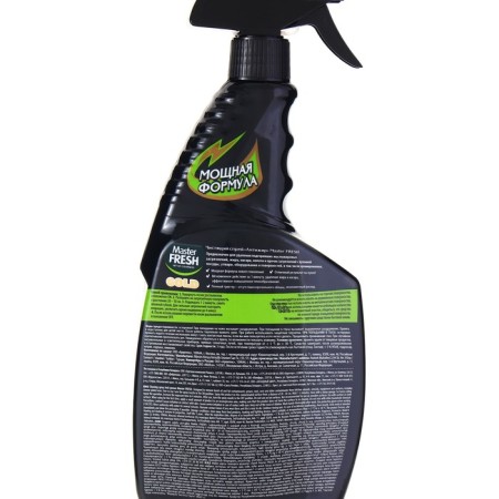 Master Fresh Cleaning Anti -Lengir Spray 750 ml-2