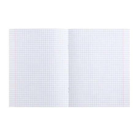 Subject subject calligrata top "Animals", 48 sheets in a cell of physics, with reference material, cover coated cardboard, Uf-lak, Offset block-2