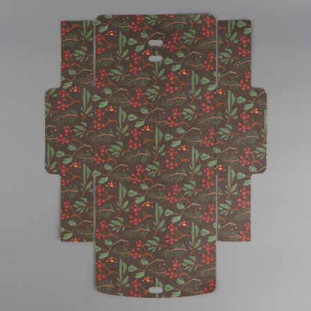 Box folding double -sided "New Year's botanist", 16.5 x 12.5 x 5 cm, without tape, New Year-8