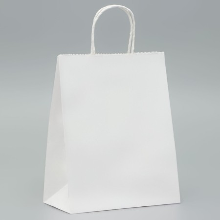 Craft package without printing, white, round handle 22 x 12 x 28 cm