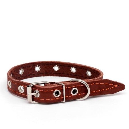 Collar leather single-layer dimensionless, 45 x 2 cm, Osh 18-39 cm, brown-1