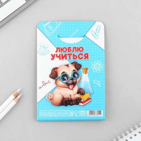 Gift set for graduation: notebook A6, 32l, stickers and magnetic bookmarks 2 pcs "Graduate"-6