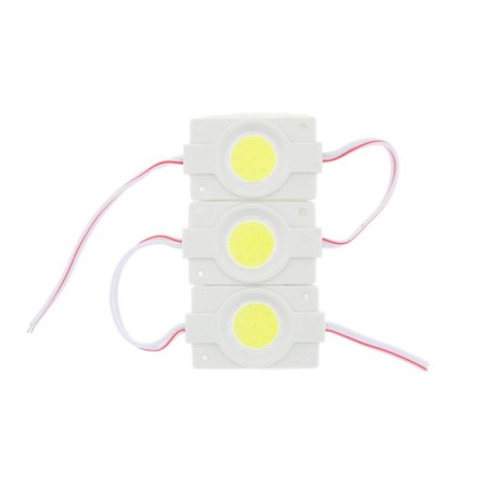 LED lighting of the salon 12 V, owls, 4.5 × 3 cm, IP68, 2.4 W, light white