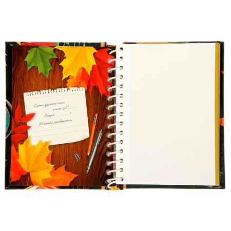 Photo album for graduation "School years" 10 magnetic sheets-1
