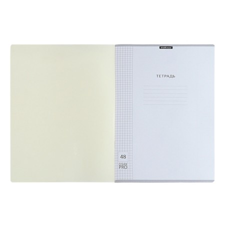 A4 notebook, 48 sheets in the Erichkrause cell "Coverpro Pastel Classic", a plastic cover with embossing, an offset unit, a whiteness 100%, yellow-4