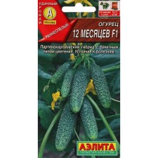 Cucumber seeds 