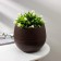 Pot for flowers "Japan", 3 l, dark brown color