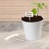 Garden signs for marking, 13 cm, set 8 pcs., Plastic
