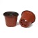 Pot for seedlings, 500 ml, d = 10 cm, h = 8 cm, terracotta, Greengo