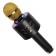 Portable karaoke microphone, 5 watts, 1200 mAh, LED, black and golden