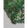 Masking mesh, 5 × 2 m, single, light green, brown, Greengo