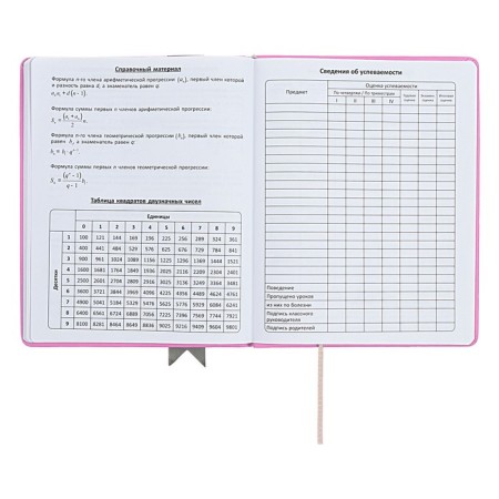 Universal diary for grades 1-11 Lenta, solid cover of artificial leather, applique, silkography, liesse, 48 sheets, pink-13