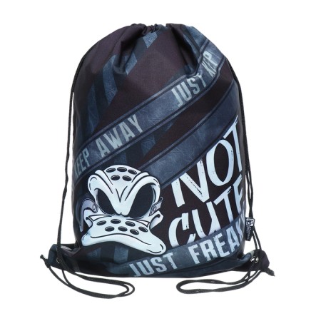 A bag for shoes 480 x 360 mm, phoenix, reflective stripes, "duck-fry"