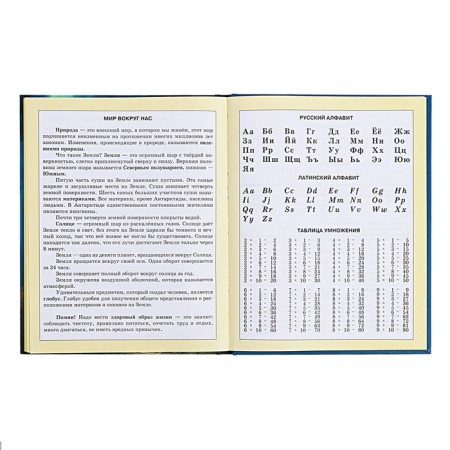 Diary for grades 1-4, solid cover "Bunny", matte lamination, selective varnish, block 60 g/m2-13