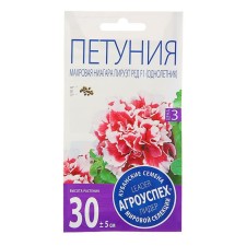 Flowers of Petunia 