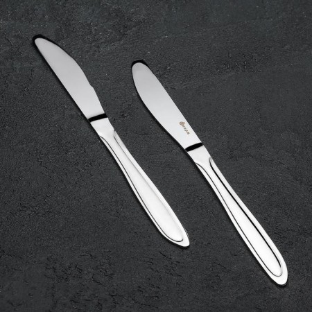 Table Knife "Beagge", length = 20 cm, thickness = 2 mm, silver color