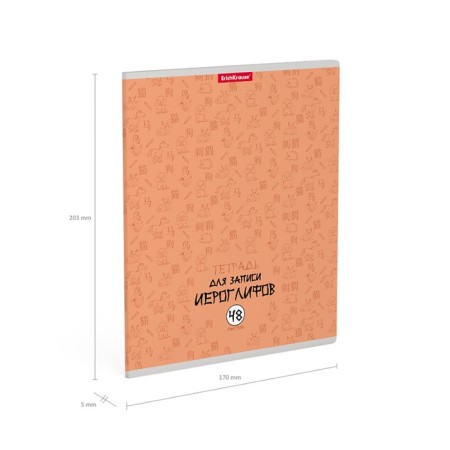 Notebook for recording hieroglyphs, 48 ​​sheets in a cage, Erichkrause "Chinese letter", mix-9