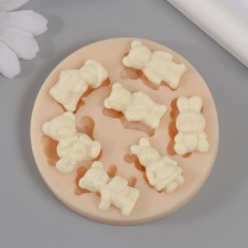 Silicone Mold 