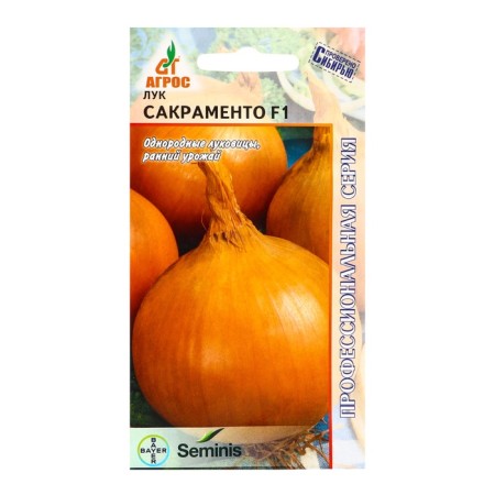Sacramento onions F1 200pc* Seminis