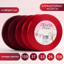 A set of satin ribbons, 5 pcs, size 1 tape: 10 mm × 23 ± 1 m, color red spectrum