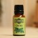 Essential oil "Pine", a bottle-boiler, 17 ml "Dobroparov"