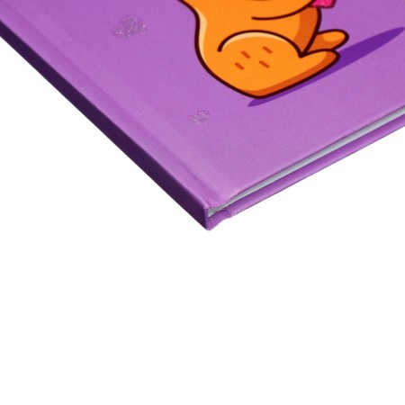 Diary 1-4 grade, 48 sheets of Kapibara, solid cover, matte lamination, fraud, glitter, glitter/m2-2