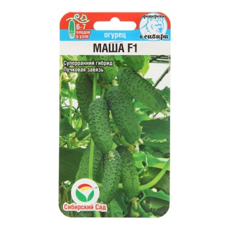 Cucumber seeds Masha F1, self -pollinated, 5 pcs in packaging