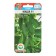 Cucumber seeds Masha F1, self -pollinated, 5 pcs in packaging