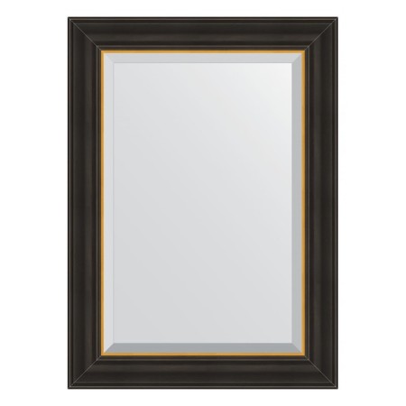 Mirror with fatset in a baguette frame, a black tree with gold 71 mm, 54x74 cm