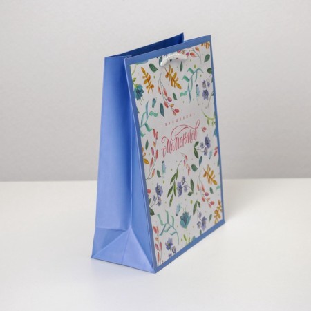 Gift Package Laminated, Packaging, Best Wishes, MS 18 x 23 x 8 cm-2
