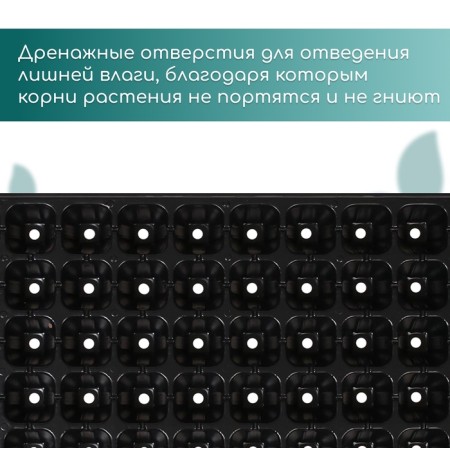 Cassette for seedlings, 50 cells, 70 ml, of plastic, black, 56 × 29.5 × 4 cm, Greengo-5